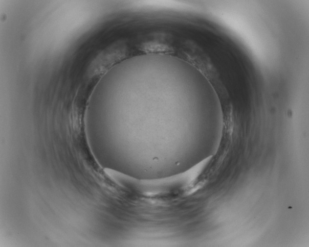 X0000088440763200705221312