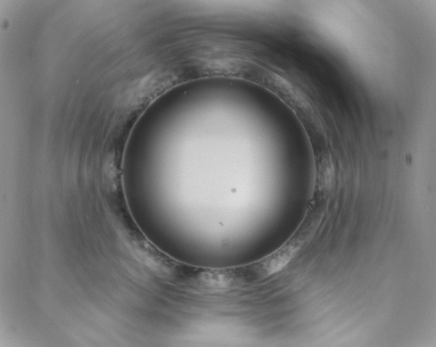 X0000088440764200705221312