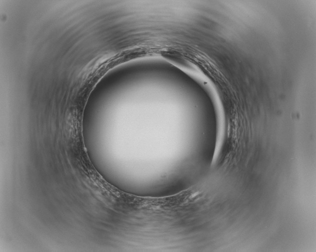 X0000088440773200705221311