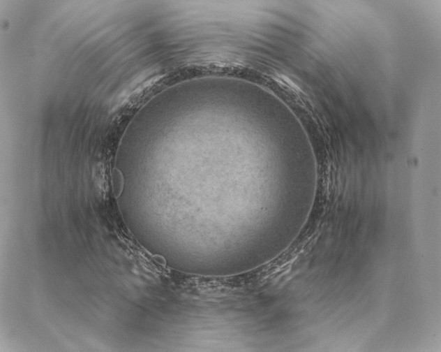 X0000088440774200705221311