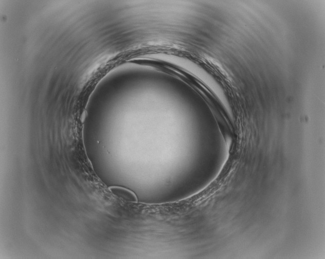 X0000088440776200705221311