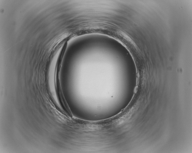 X0000088440777200705221311