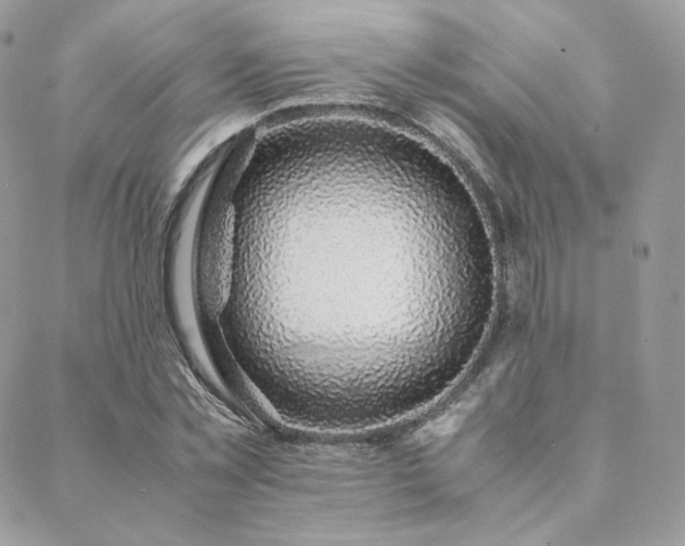 X0000088440781200705221311