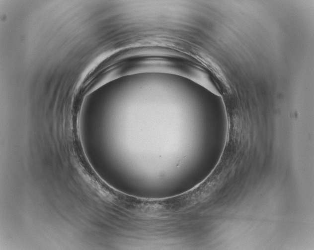 X0000088440784200705221311