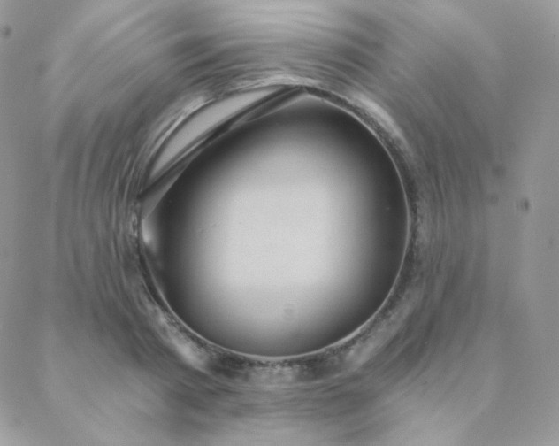 X0000088440793200705221311