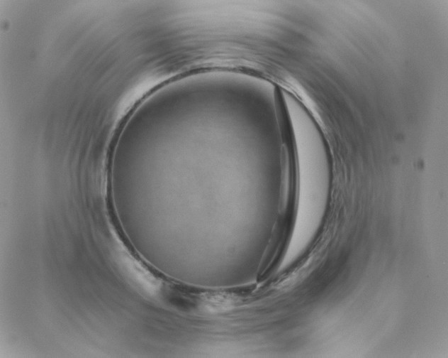 X0000088440795200705221311