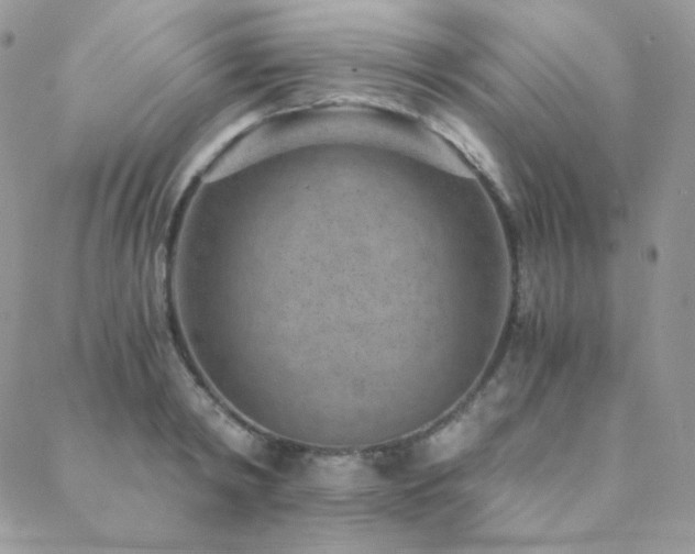X0000088440798200705221311