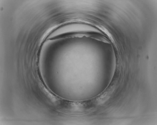X0000088440799200705221311