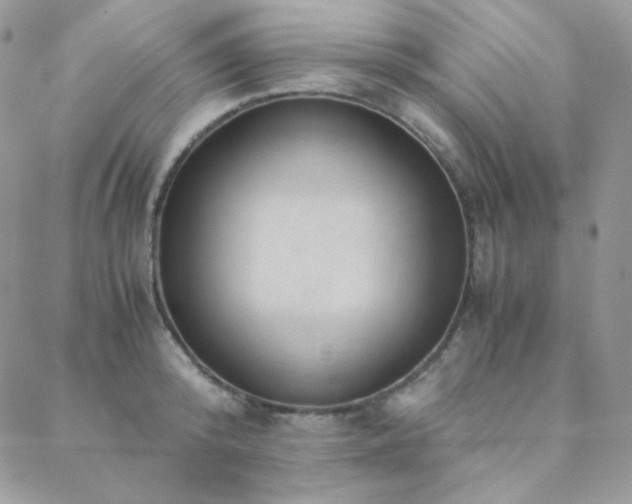 X0000088440800200705221311