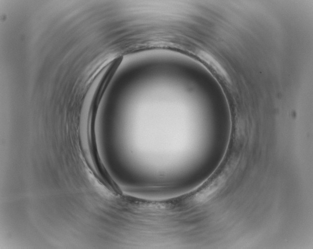 X0000088440801200705221311