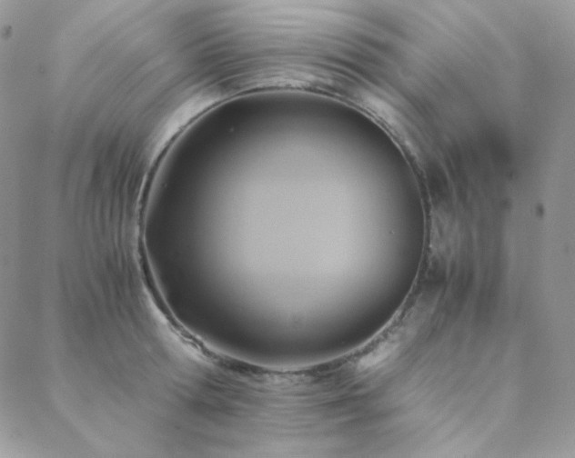 X0000088440802200705221311