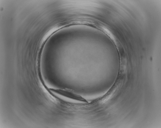 X0000088440803200705221311
