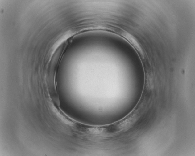 X0000088440805200705221311