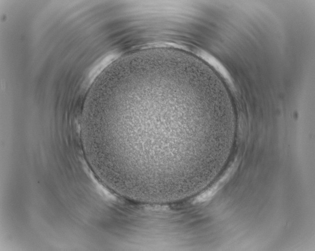 X0000088440809200705221311