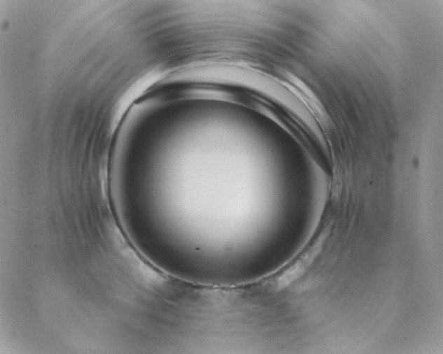 X0000088440812200705221311