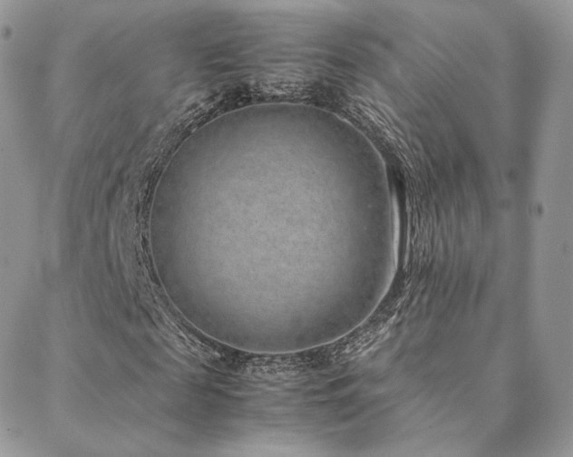 X0000088440817200705221310