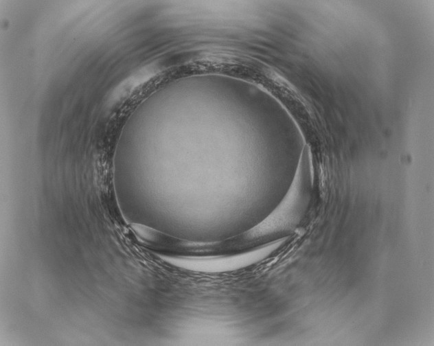 X0000088440822200705221310