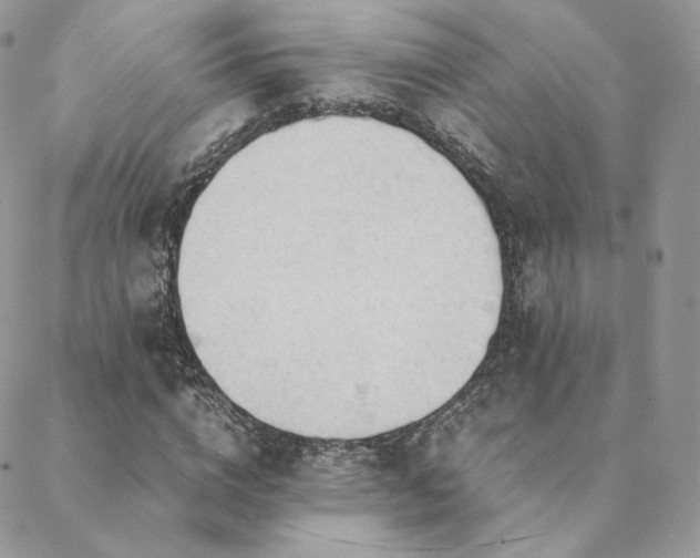 X0000088440824200705221310