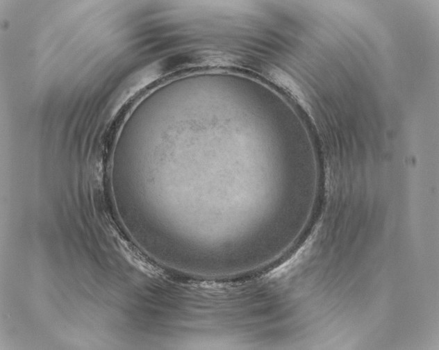 X0000088440827200705221310