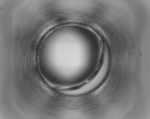 X0000088440830200705221310