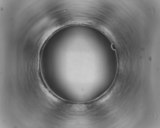 X0000088440844200705221310