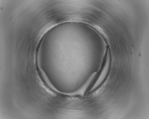 X0000088440846200705221310