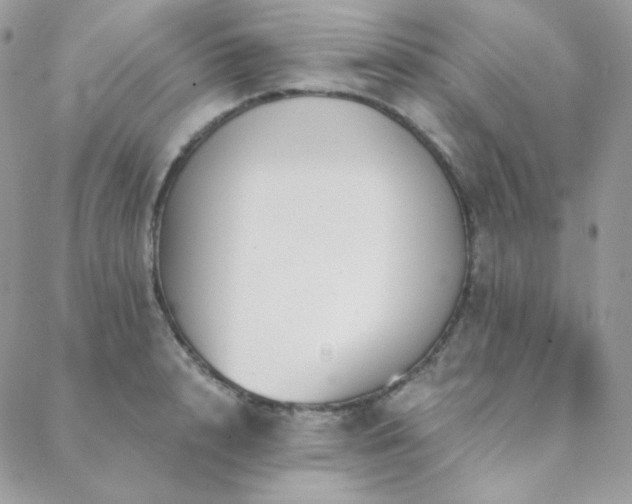 X0000088440848200705221310