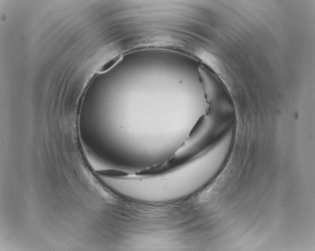 X0000088440850200705221310