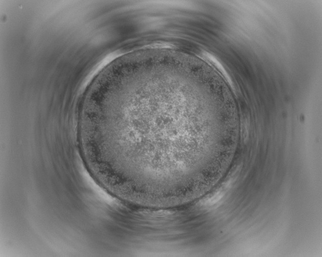 X0000088440851200705221310