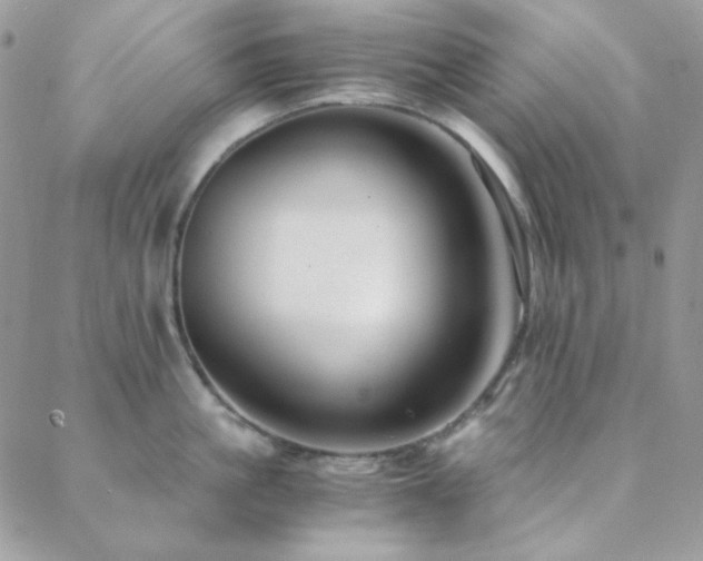 X0000088440861200705221311