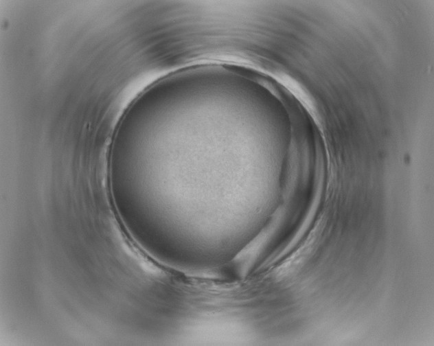 X0000088440862200705221311