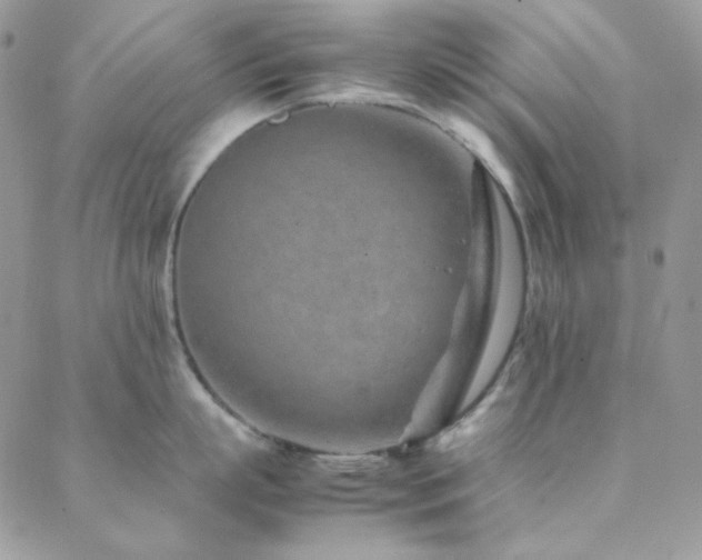 X0000088440863200705221311