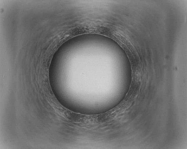 X0000088440865200705221310