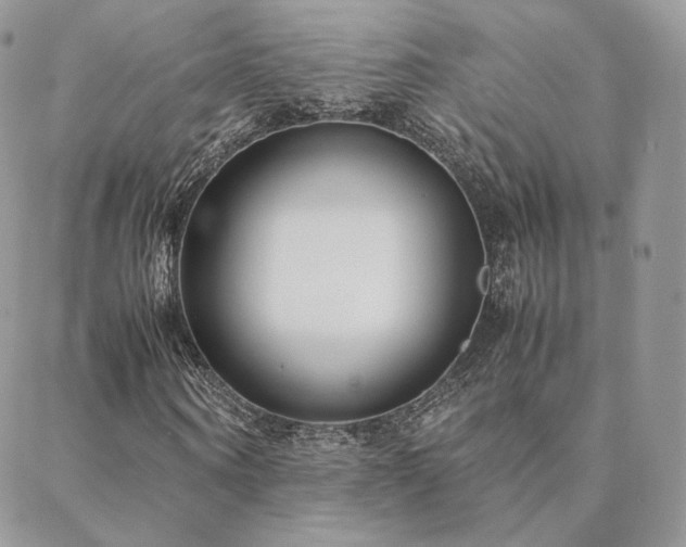 X0000088440866200705221310