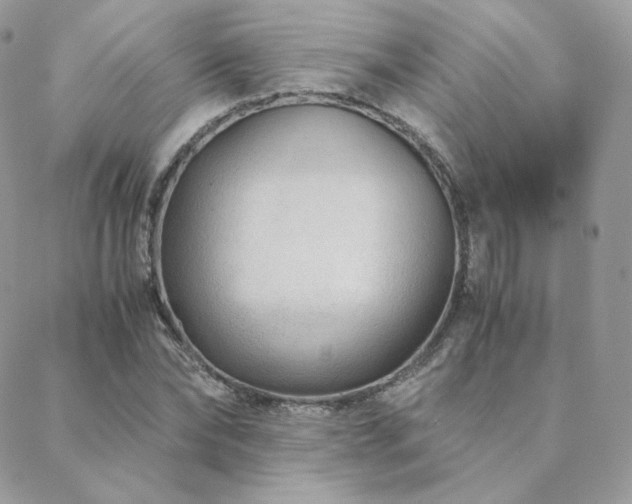 X0000088440878200705221310