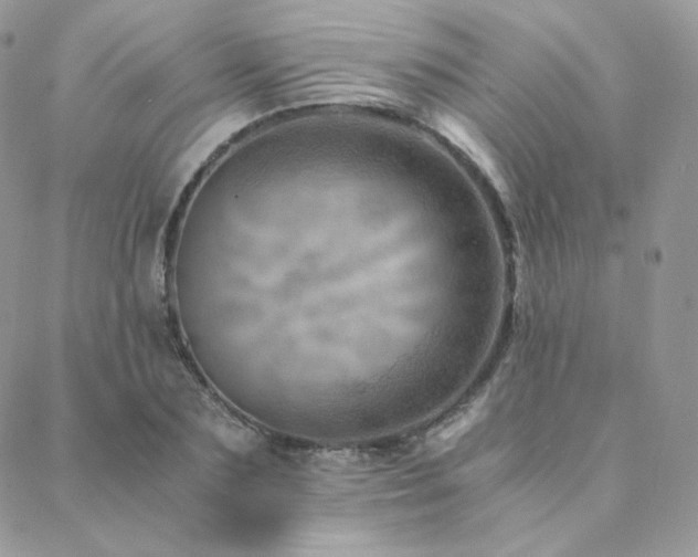 X0000088440883200705221310