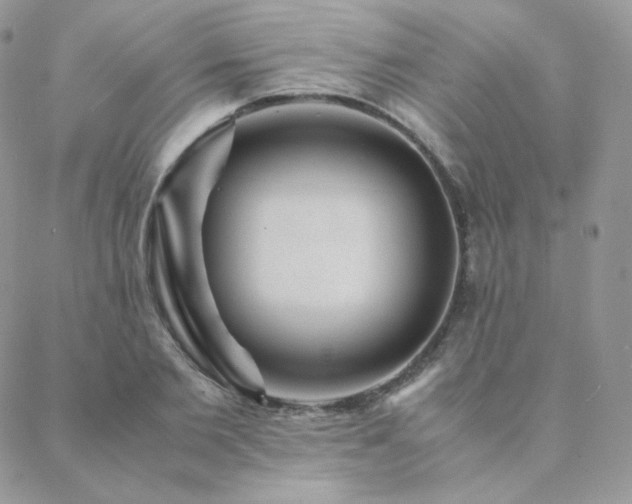 X0000088440885200705221309