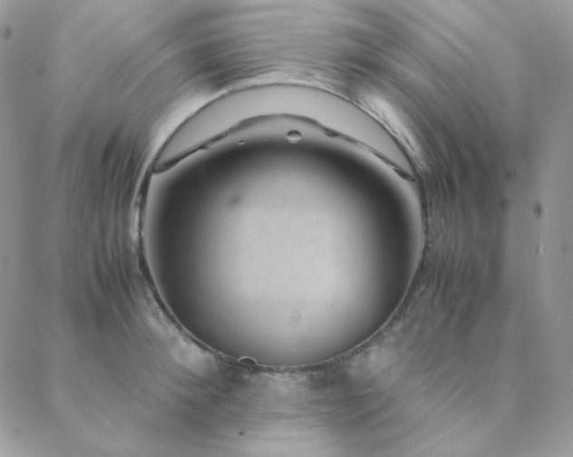 X0000088440900200705221309