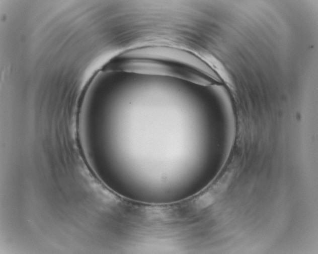 X0000088440904200705221309