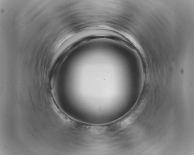 X0000088440905200705221309