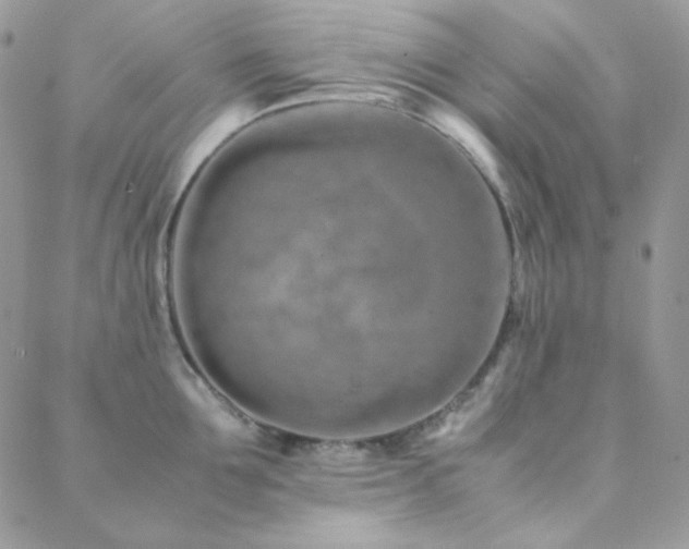 X0000088440907200705221309
