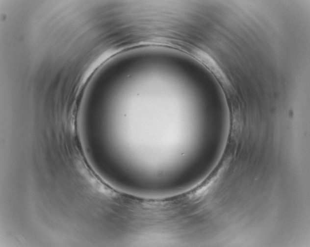 X0000088440908200705221309