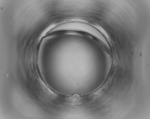 X0000088440910200705221309