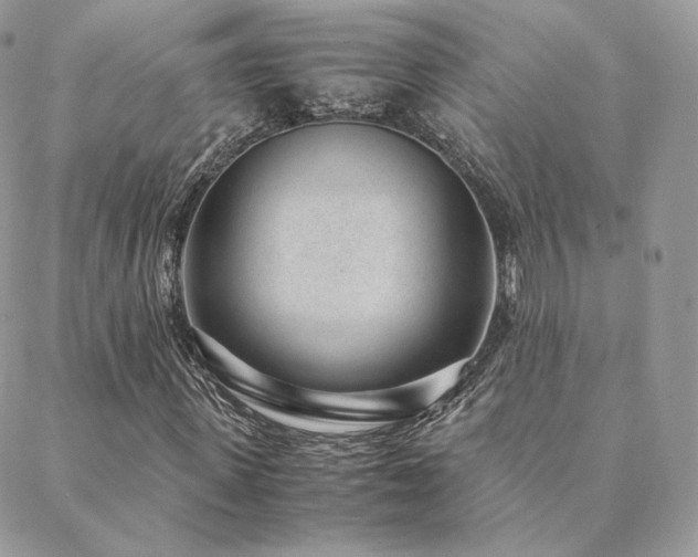 X0000088440915200705221308