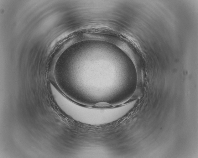X0000088440920200705221308