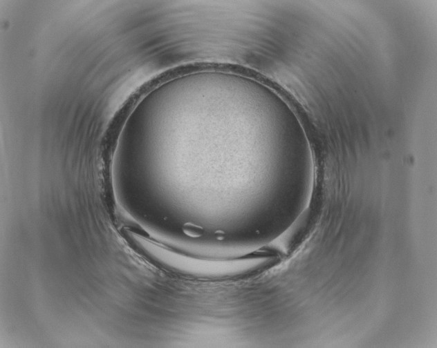X0000088440926200705221308