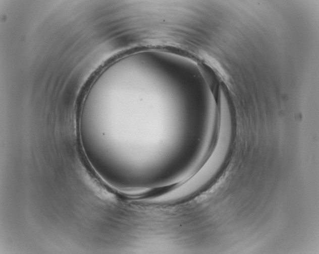 X0000088440934200705221309