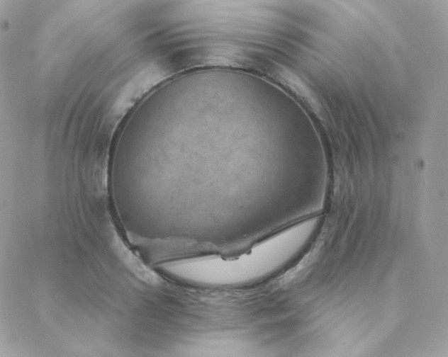 X0000088440938200705221309