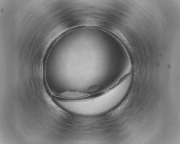 X0000088440939200705221309