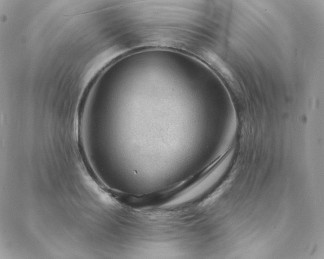 X0000088440940200705221309